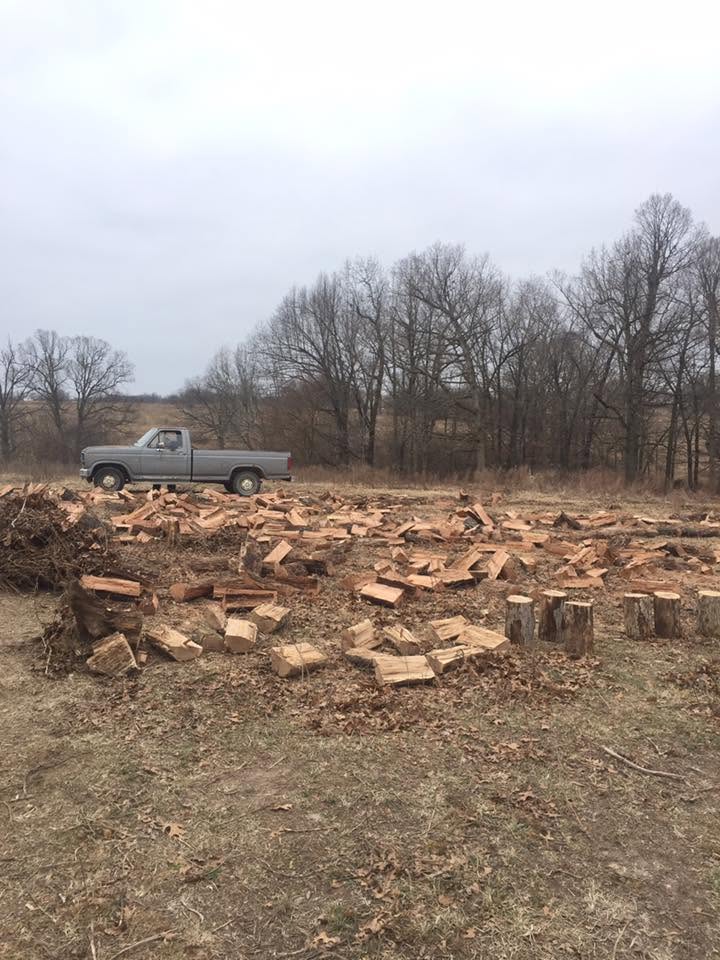 Tree-service worksite with a pickup and rows of split wood